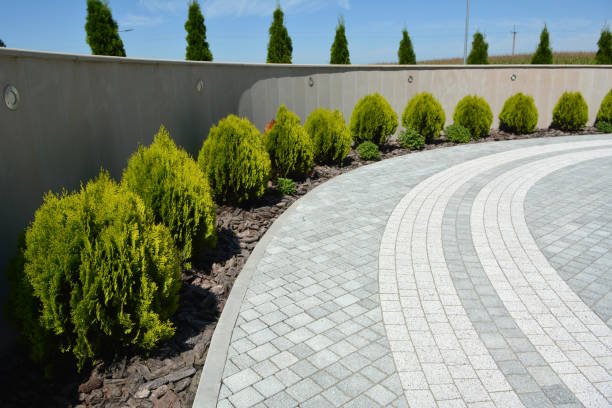 Best Driveway Pavers Near Me  in Summit, AZ